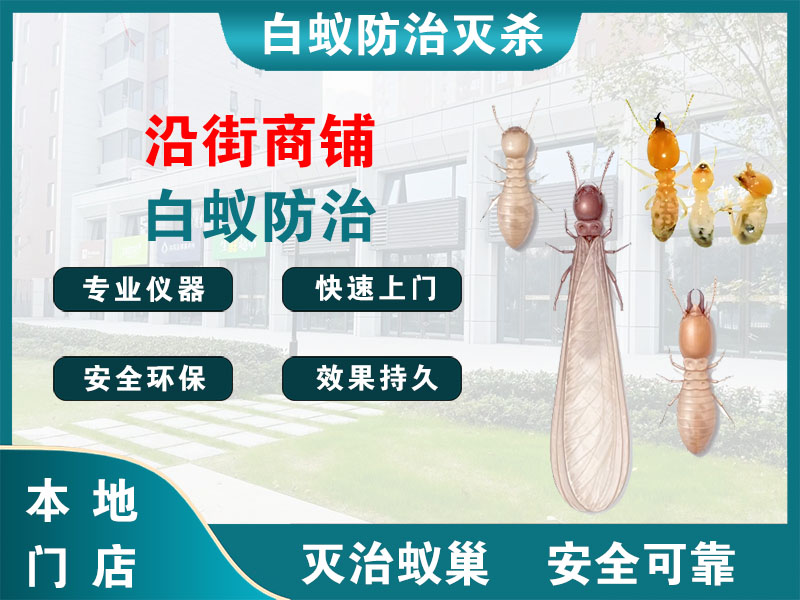 宝应沿街商铺白蚁防治