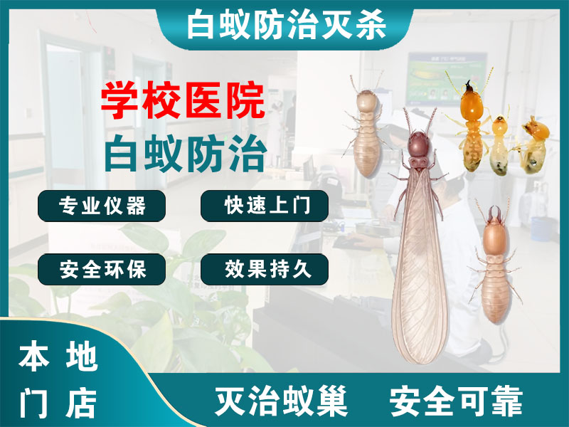 宝应学校医院白蚁防治