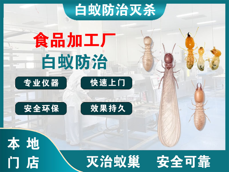 宝应食品加工厂白蚁防治