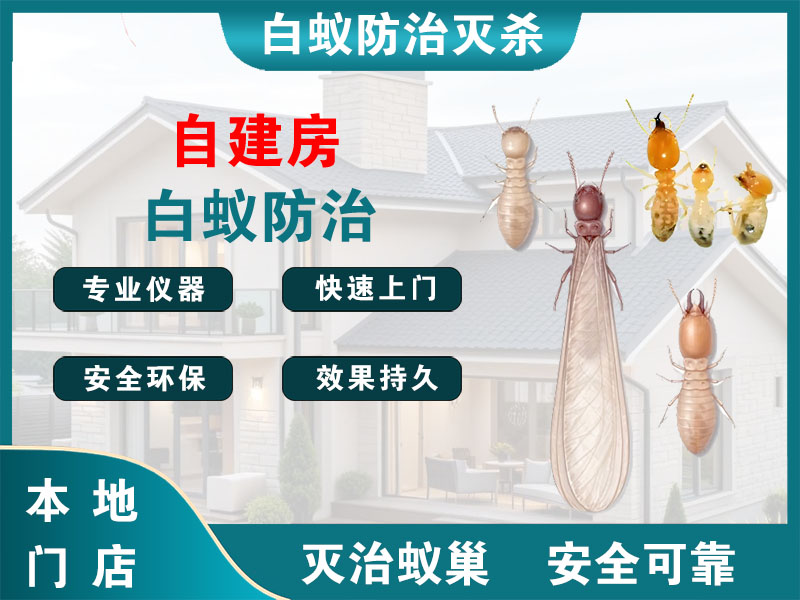 宝应自建房白蚁防治