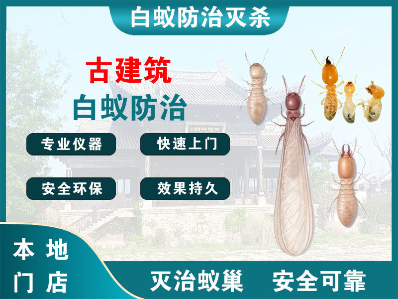 宝应古建筑白蚁防治