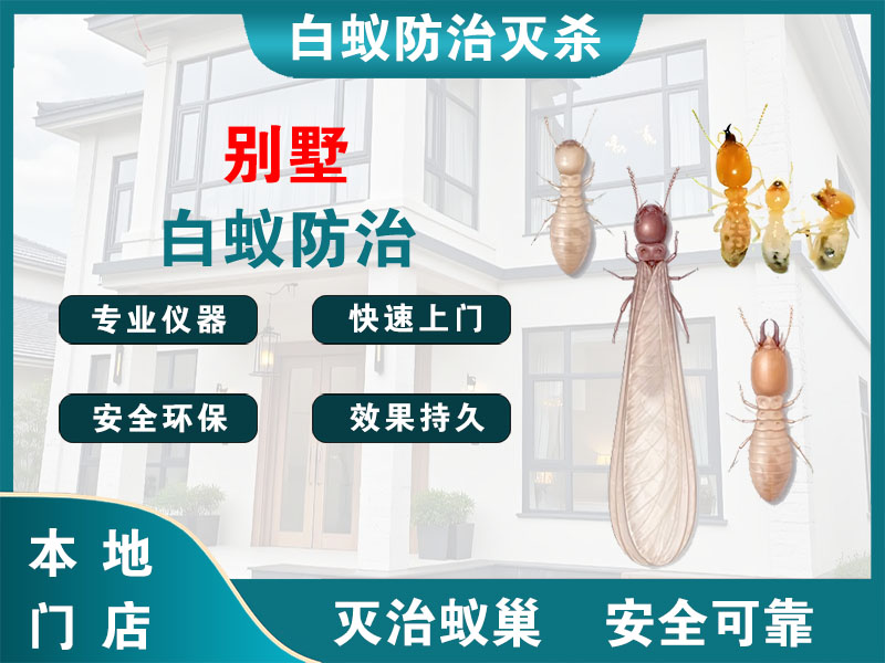 宝应别墅白蚁防治